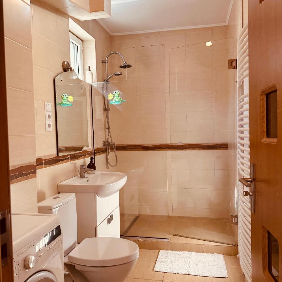 Sweet Apartament Baia Mare Extérieur photo