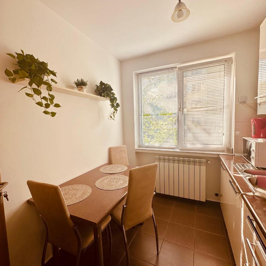 Sweet Apartament Baia Mare Extérieur photo